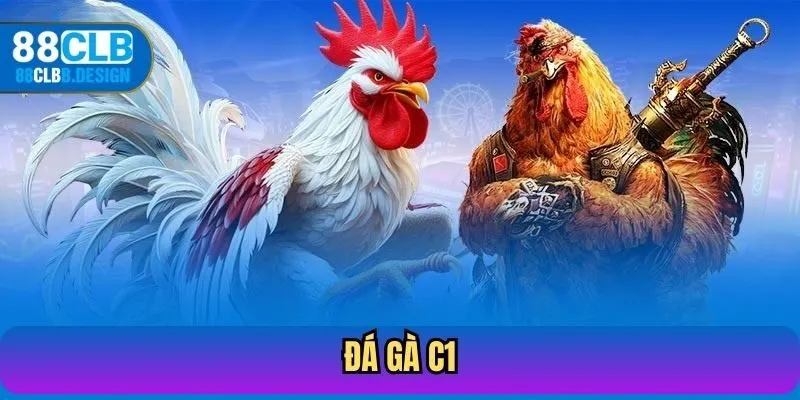 Đá Gà C1