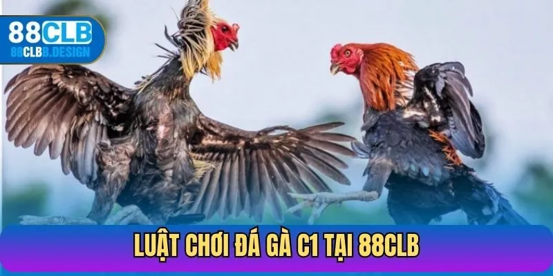 Luật chơi đá gà C1 tại 88CLB