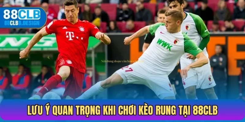 Lưu ý quan trọng khi tham gia chơi kèo rung tại 88CLB
